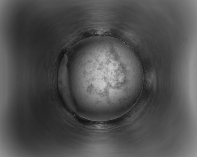 X0000088650657200705251502
