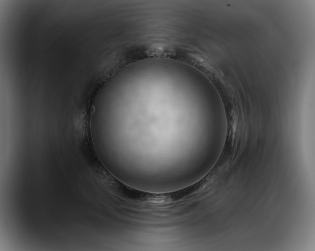 X0000088650659200705251503