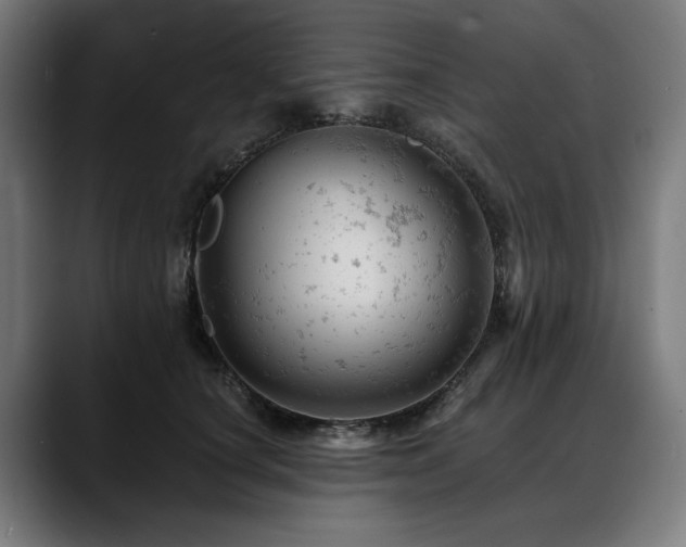 X0000088650660200705251503