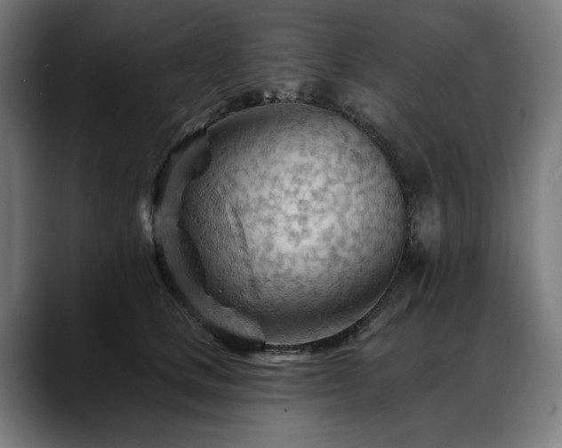 X0000088650661200705251503