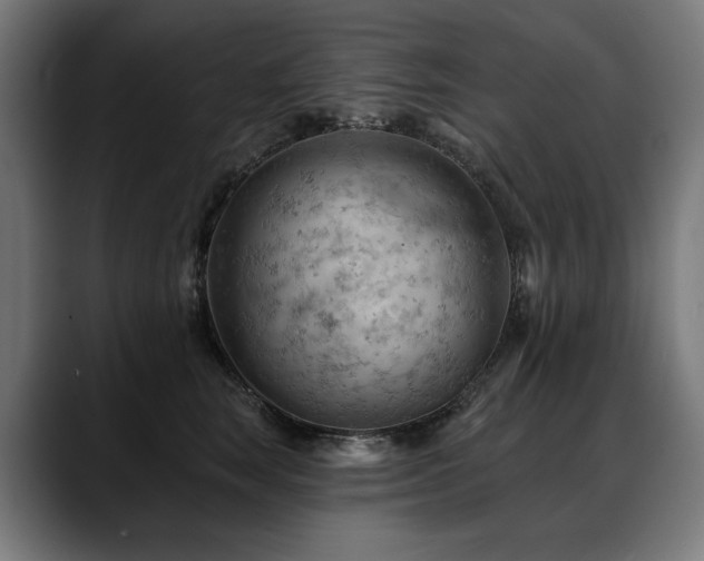 X0000088650663200705251503