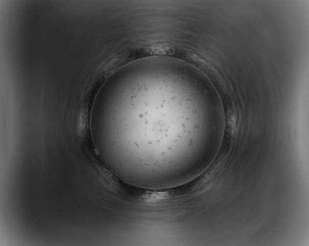 X0000088650665200705251503