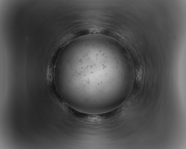X0000088650666200705251503