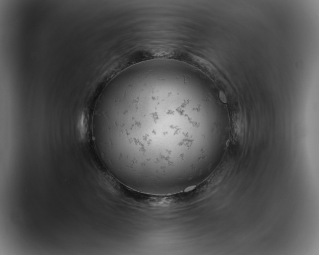 X0000088650667200705251503