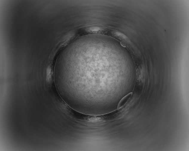 X0000088650669200705251503