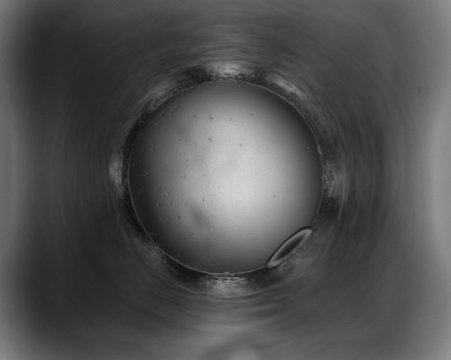 X0000088650670200705251503