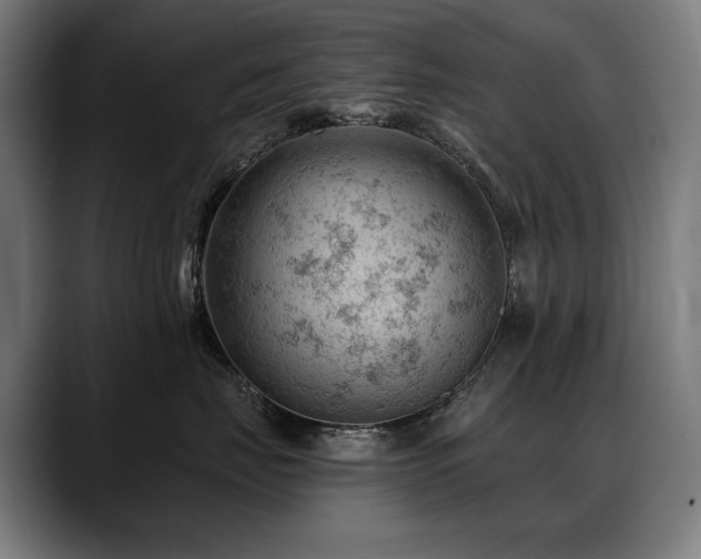 X0000088650671200705251503