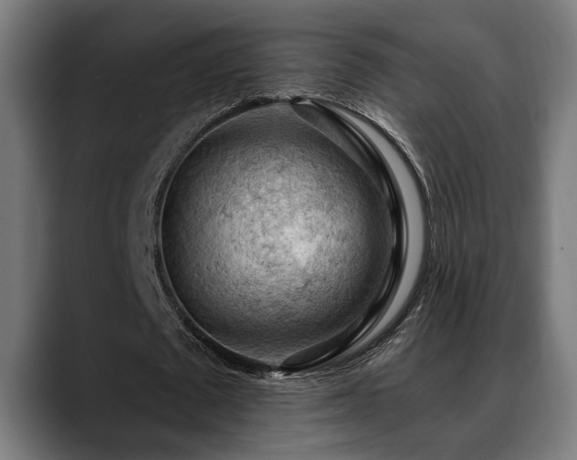 X0000088650673200705251502