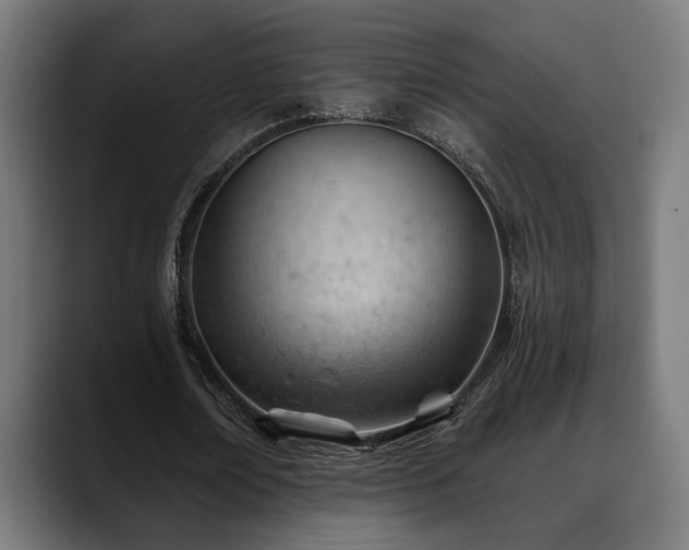 X0000088650674200705251502