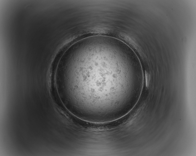 X0000088650675200705251502