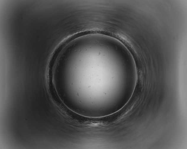 X0000088650676200705251502