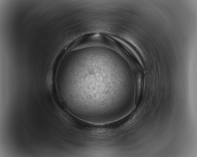 X0000088650677200705251502