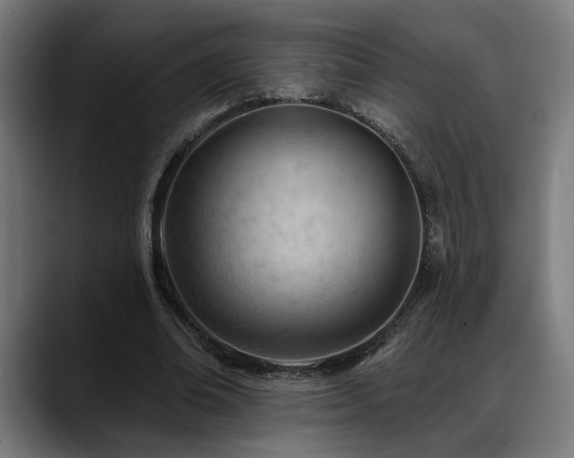 X0000088650678200705251502