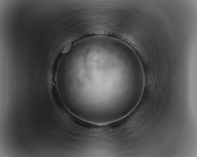 X0000088650679200705251502