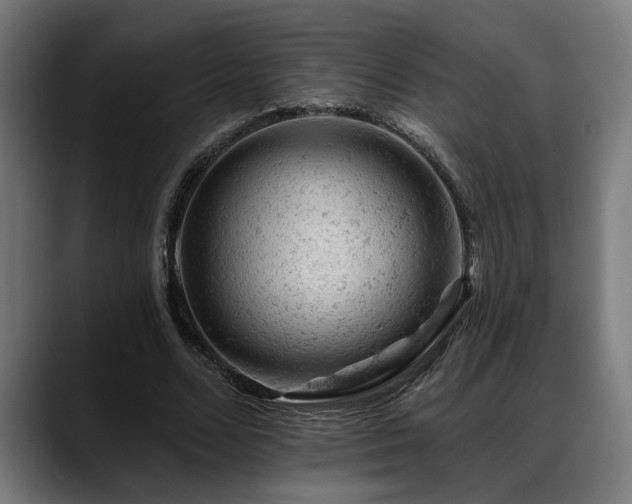 X0000088650680200705251502