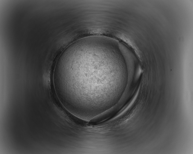 X0000088650681200705251502