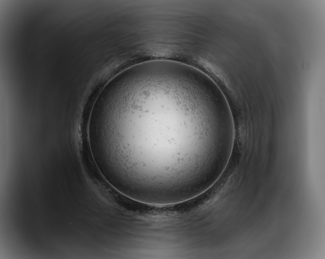 X0000088650682200705251502