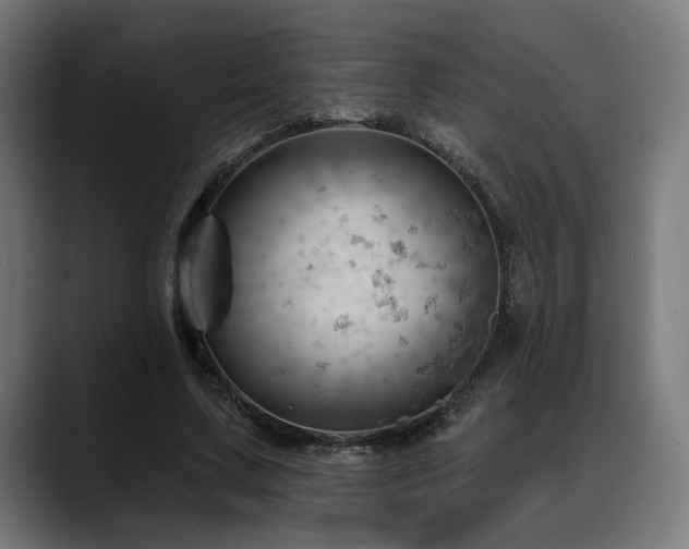 X0000088650683200705251502