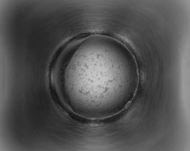 X0000088650684200705251502