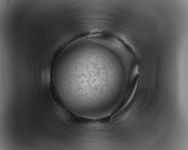 X0000088650685200705251502
