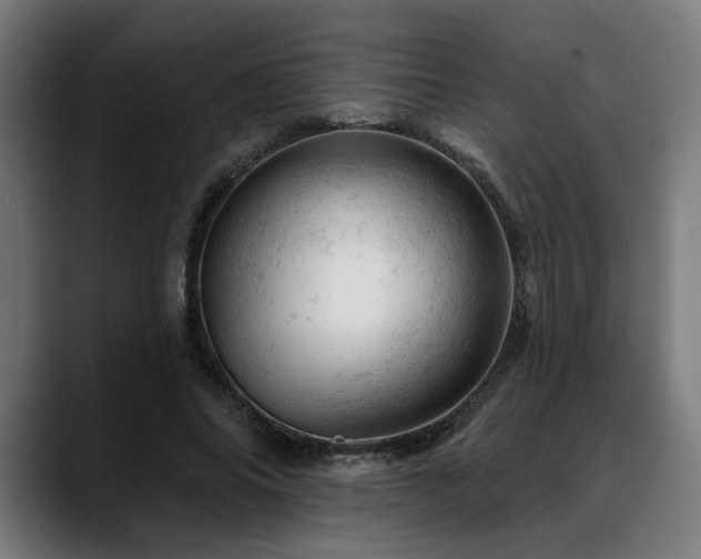 X0000088650686200705251502