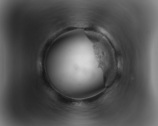 X0000088650688200705251502