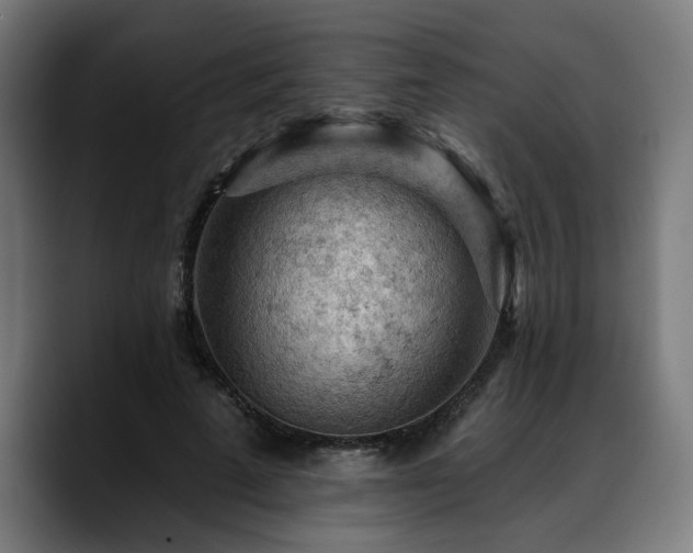 X0000088650689200705251502