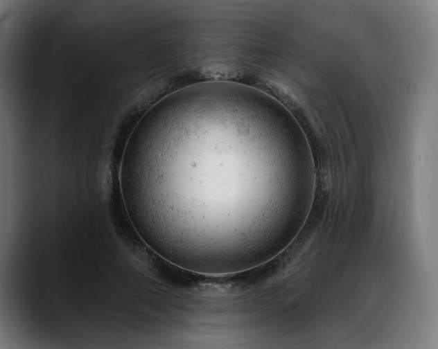 X0000088650690200705251502