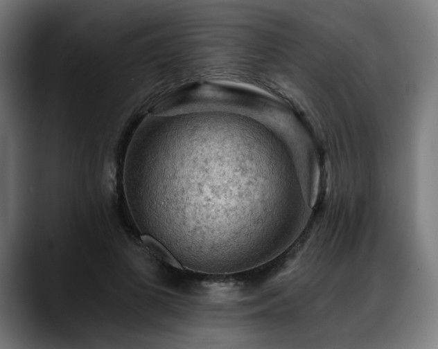 X0000088650693200705251502