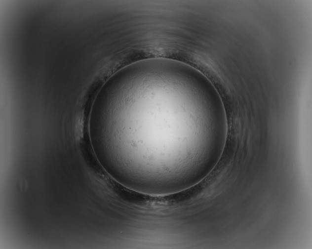 X0000088650694200705251502
