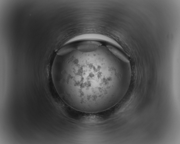 X0000088650695200705251502