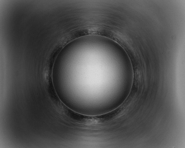 X0000088650698200705251502