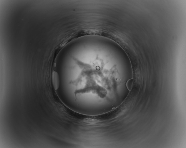 X0000088650699200705251502
