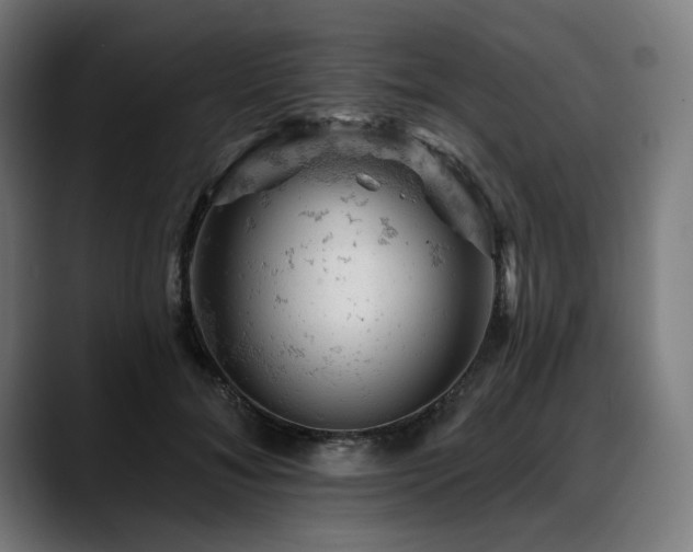 X0000088650700200705251502