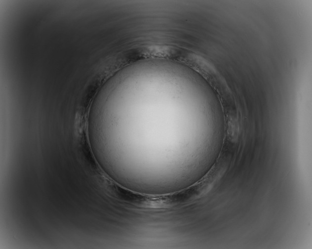 X0000088650701200705251502