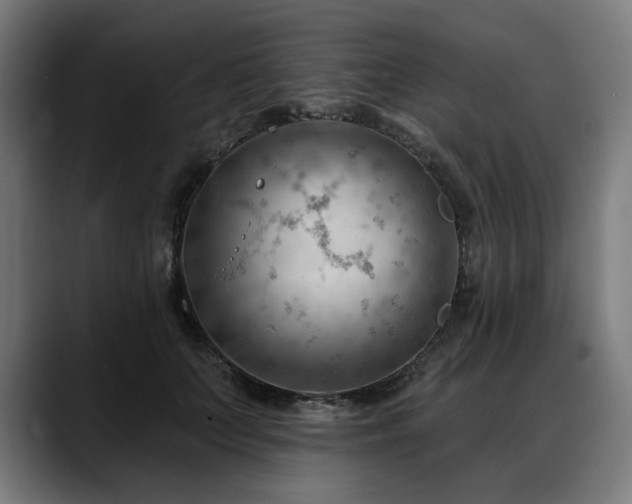 X0000088650703200705251502