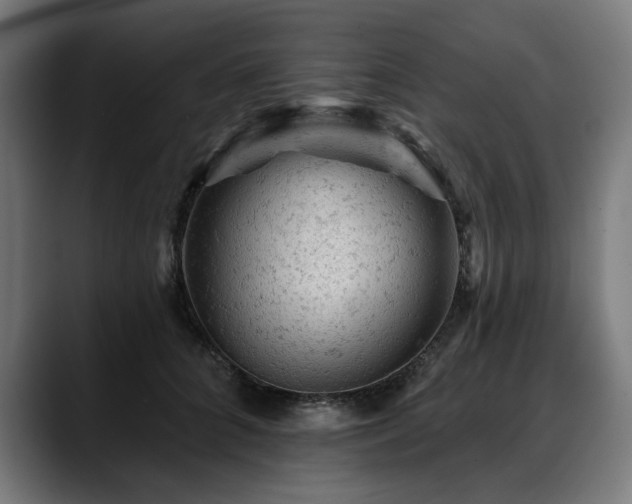 X0000088650704200705251502