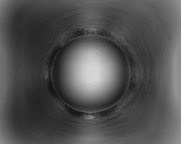 X0000088650706200705251502