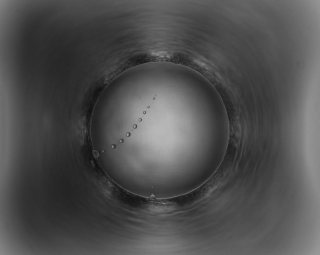 X0000088650707200705251502