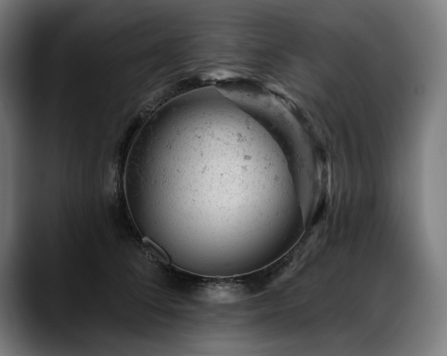 X0000088650708200705251502