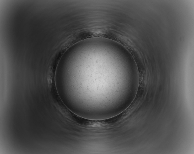 X0000088650710200705251502