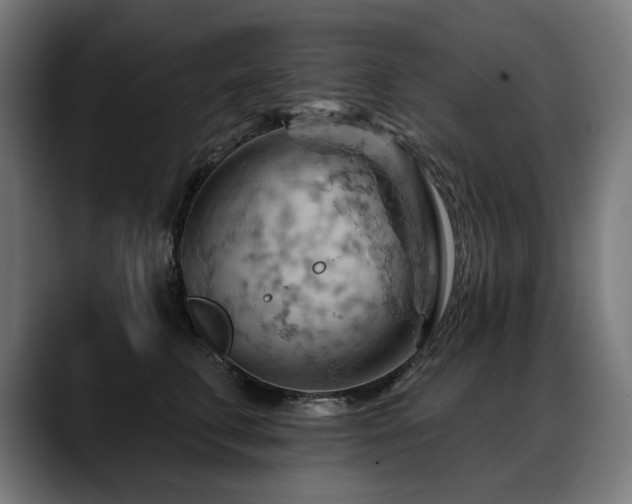 X0000088650711200705251502