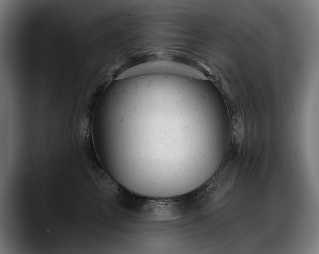 X0000088650713200705251502