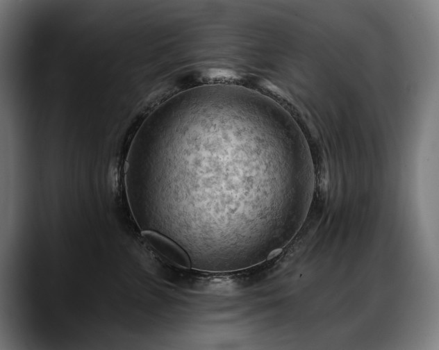 X0000088650715200705251502