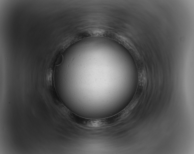 X0000088650717200705251501