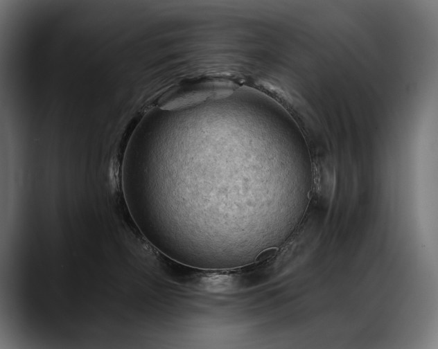 X0000088650718200705251501