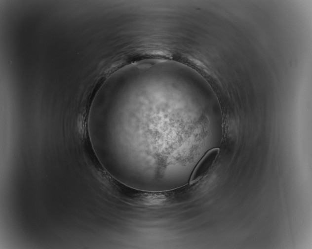X0000088650719200705251501