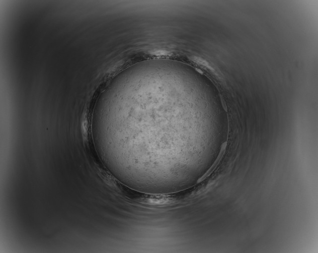 X0000088650720200705251501