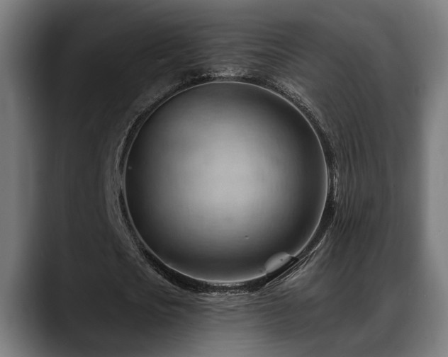 X0000088650721200705251501