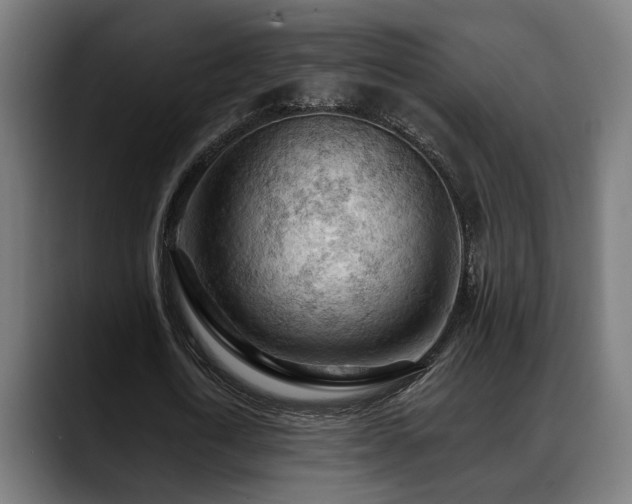 X0000088650722200705251501